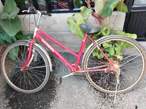 Used/Preowned Red Adult Bicycle