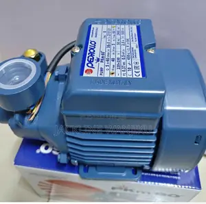 Pedrollo Water Pump/0.5 Hp Water Pump/ Pedrollo Booster Pump Pkm60 0.5