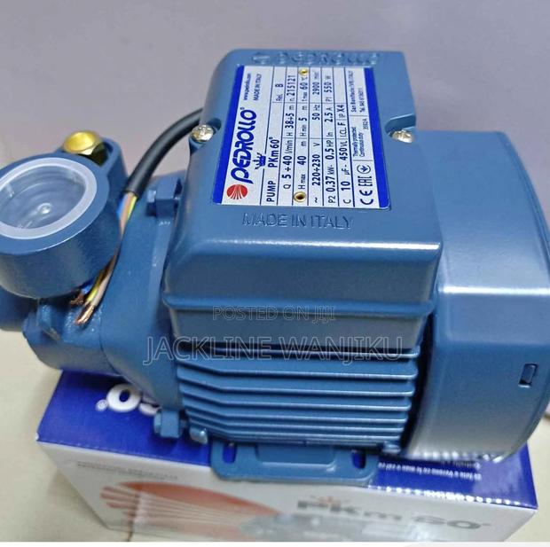 Pedrollo Water Pump/0.5 Hp Water Pump/ Pedrollo Booster Pump Pkm60 0.5