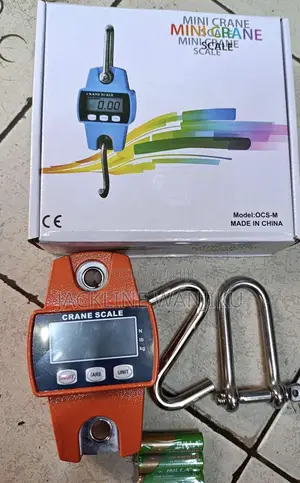 Digital Weighing Scale 300kg/Crane Scale Weighing Scale/ Hanging Scale