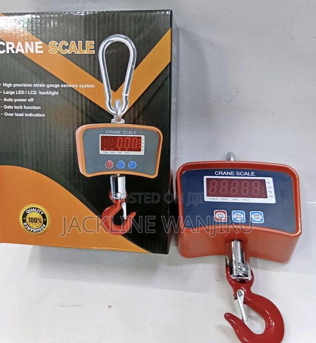 500kg Crane Scale / Digital Crane Sca 500kgs / Weighing Scale Crane - main view