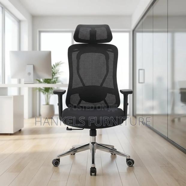 Executive Ergonomic Office Chair With Headrest