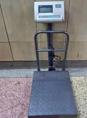 A12 Digital Platform Weighing Scale 300kgs/ Weighing Scale A12