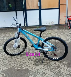 Bicycle Size 24