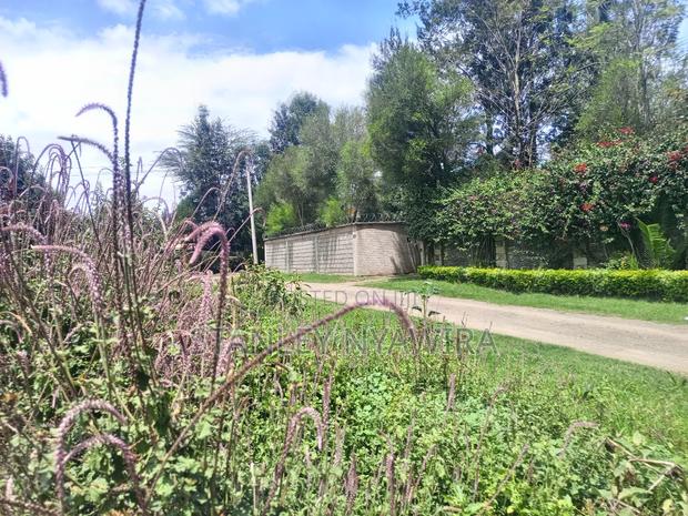 1/4 Located Nanyuki Town Muthaiga - thumbnail 5