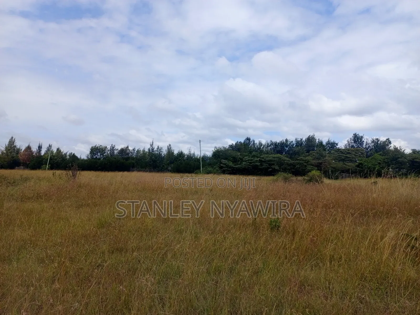 5 Acreas Nanyuki Town