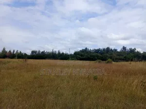 5 Acreas Nanyuki Town