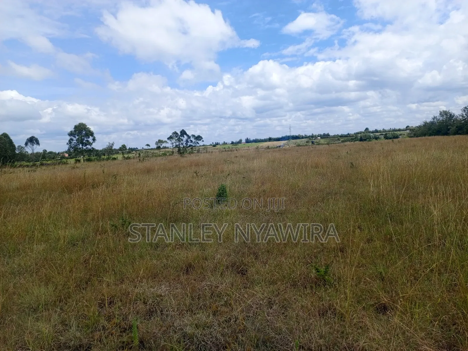 5 Acreas Nanyuki Town