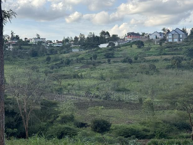 1/8 Acre Merisho - thumbnail 4