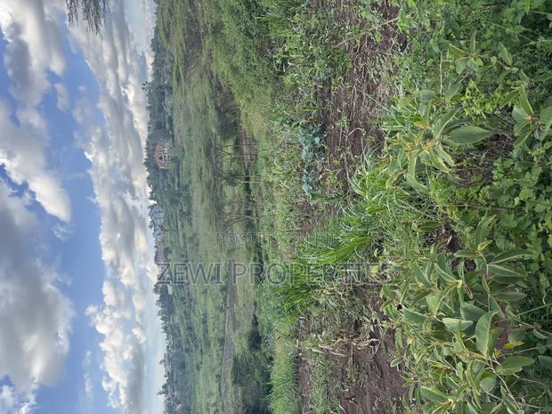 1/8 Acre Merisho - thumbnail 6