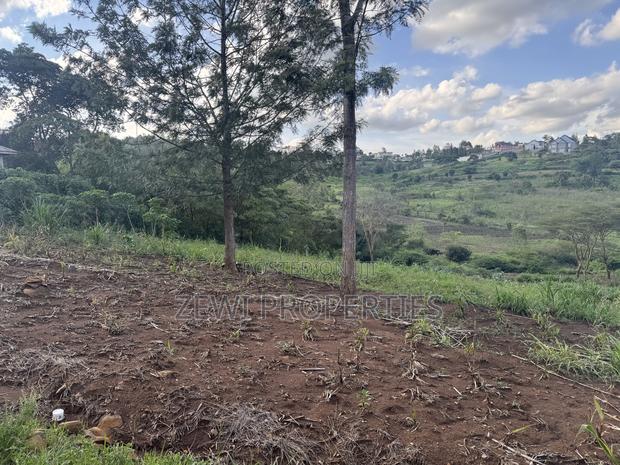 1/8 Acre Merisho - thumbnail 2