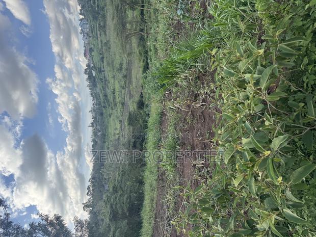 1/8 Acre Merisho - thumbnail 5