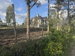 Quarter Acre Merisho