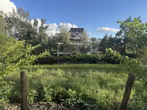 Quarter Acre Merisho