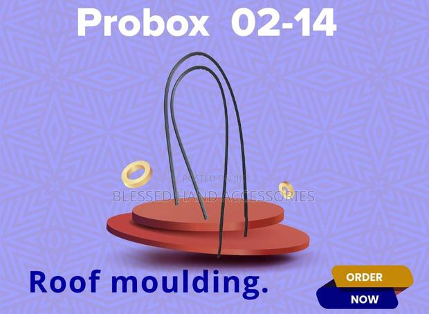 Roof Mouldings Probox - main view