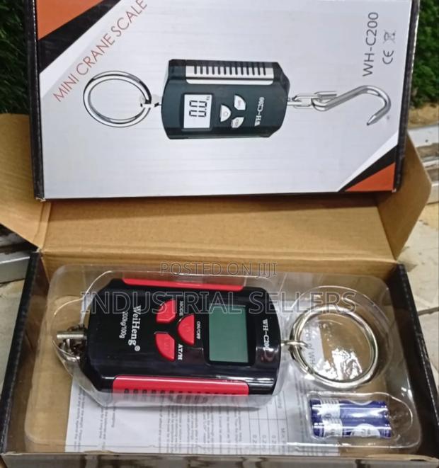 Accurate Wh-C200 Portable Digital Crane Scale