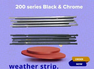 Weather Strips /Mouldings V8 Fj200