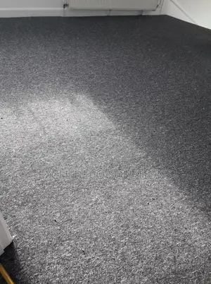 Delta Wall to Wall Carpet Quality Floor Carpet for Shops and Offices