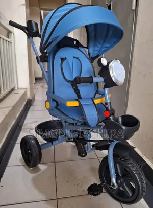 Tricycle With Canopy And Handle