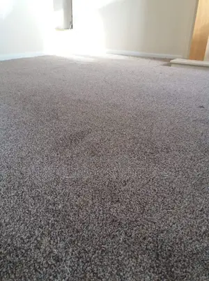 Delta Wall to Wall Carpet Elegant Flooring for Shops Home and Office