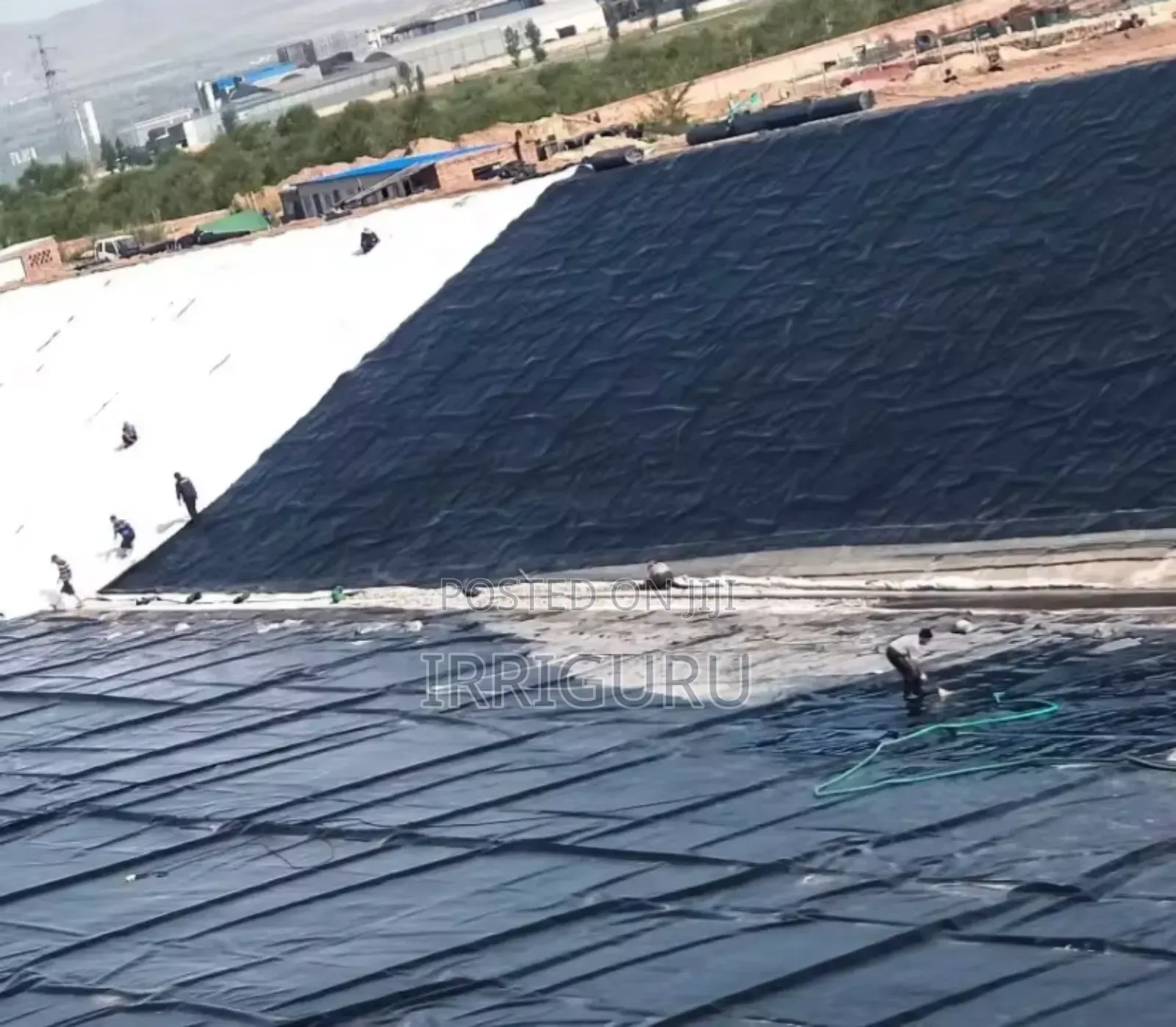 Damliners-0.5mm
