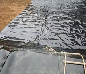 Hdpe Geomembrane