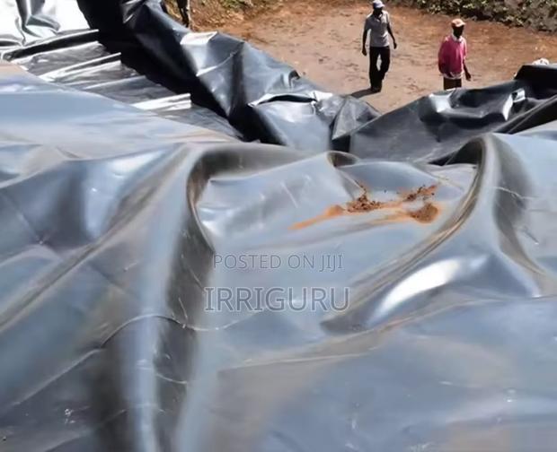 Fish Ponds - main view