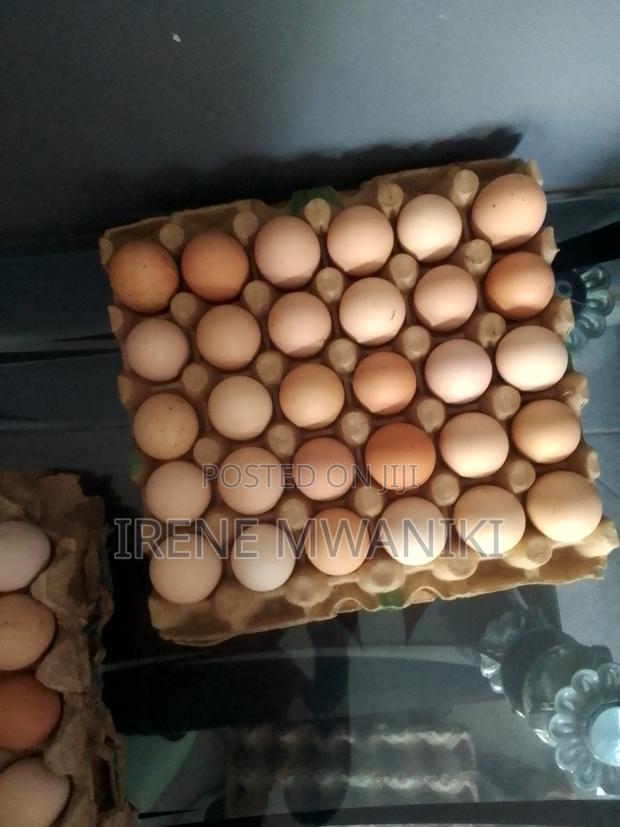 Fertilized Sasso Eggs - thumbnail 2