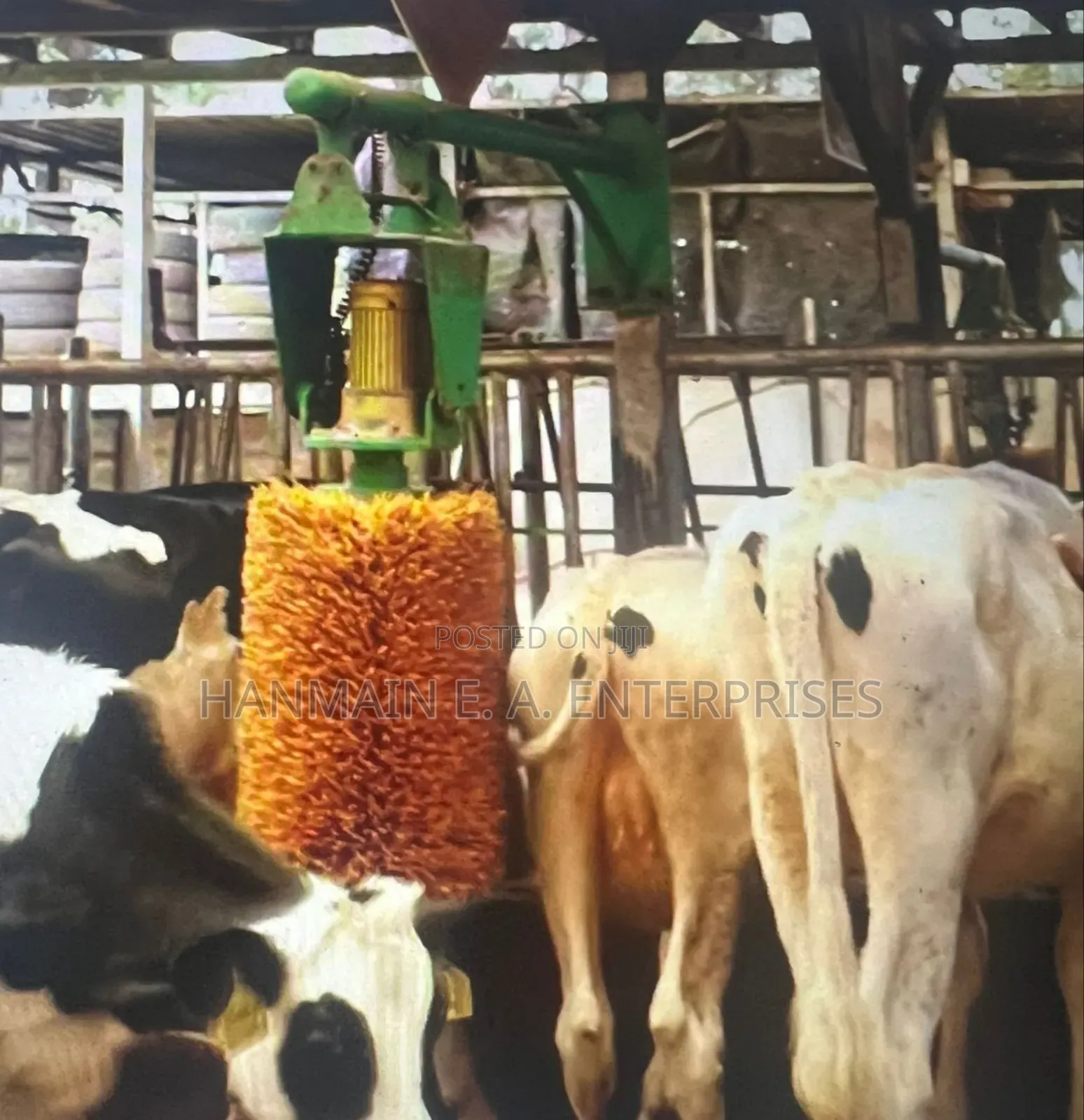 Automatic Cow Massage Brush