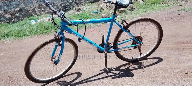 Riding Bicycle - thumbnail 3