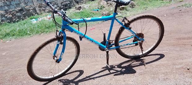 Riding Bicycle - thumbnail 4