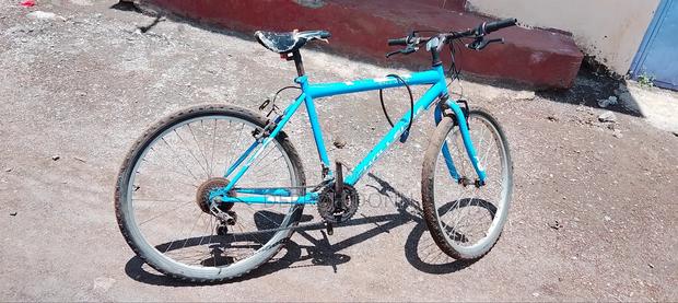 Riding Bicycle - thumbnail 5