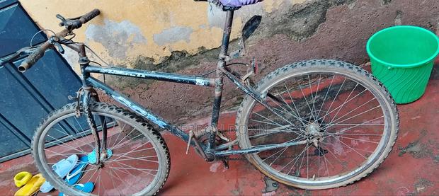 Riding Bicycle - main view