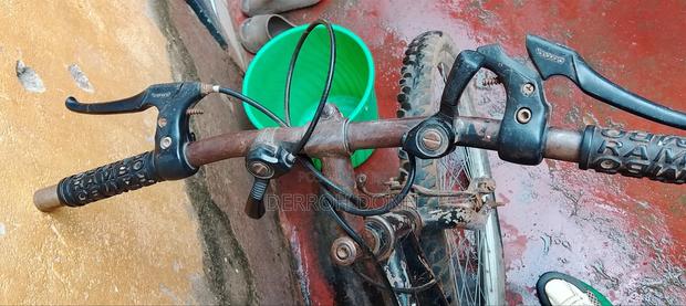 Riding Bicycle - thumbnail 4