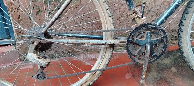 Riding Bicycle - thumbnail 5