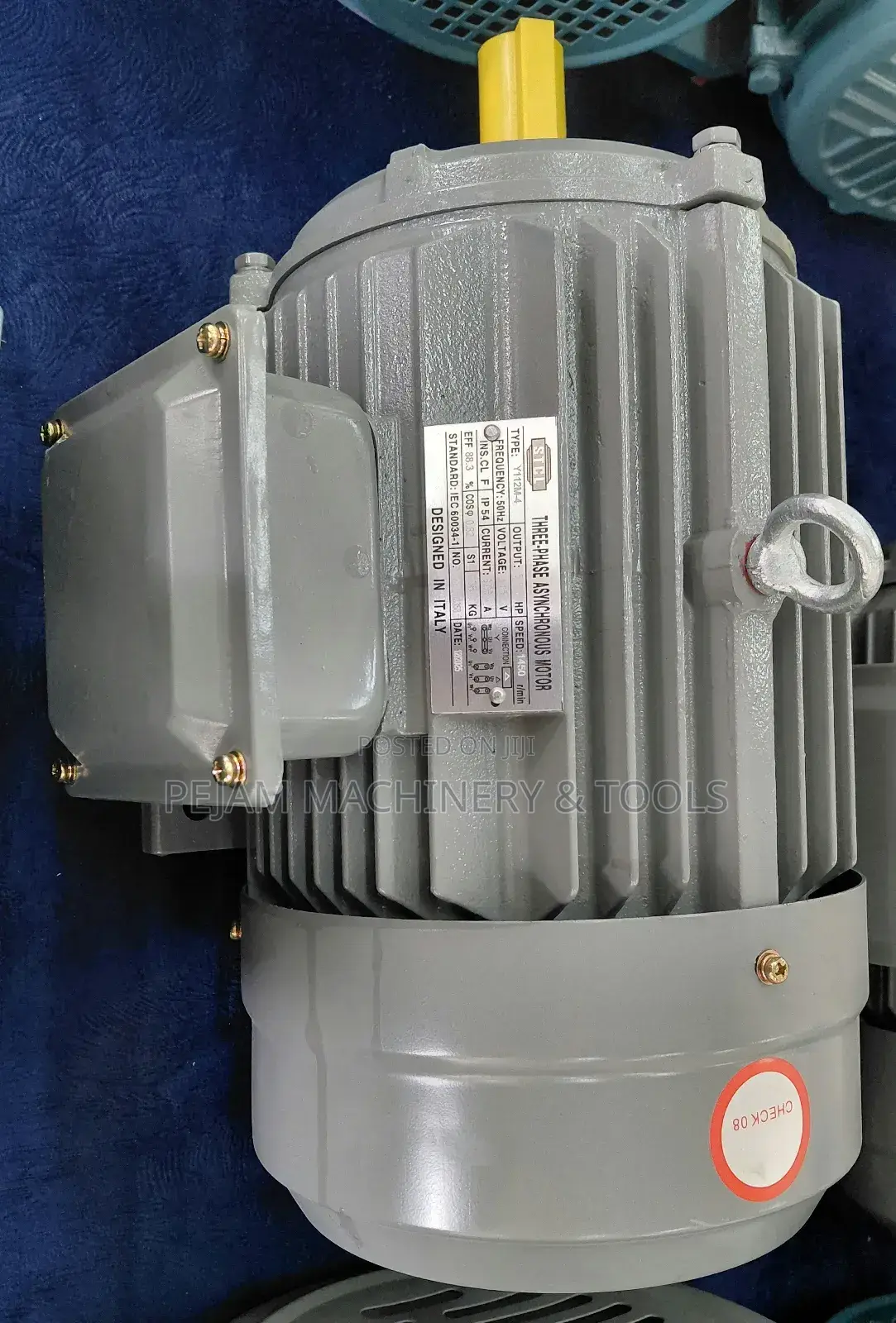 STCL Italy 5.5hp Three Phase High Speed 2900rpm Electric Motor