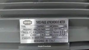 STCL Italy 5.5hp Three Phase High Speed 2900rpm Electric Motor
