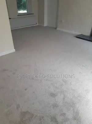 Delta Wall to Wall Carpet Comfortable Flooring for Home and Office