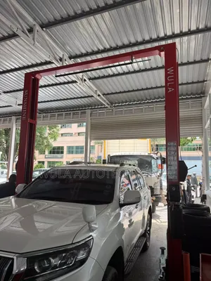 Best Designed Sunshine Wula High Quality Two Post Carlift Machine