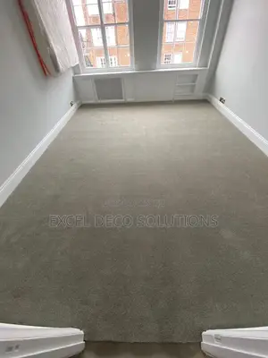 Delta Wall to Wall Carpet Strong Carpet Flooring for Office and Home