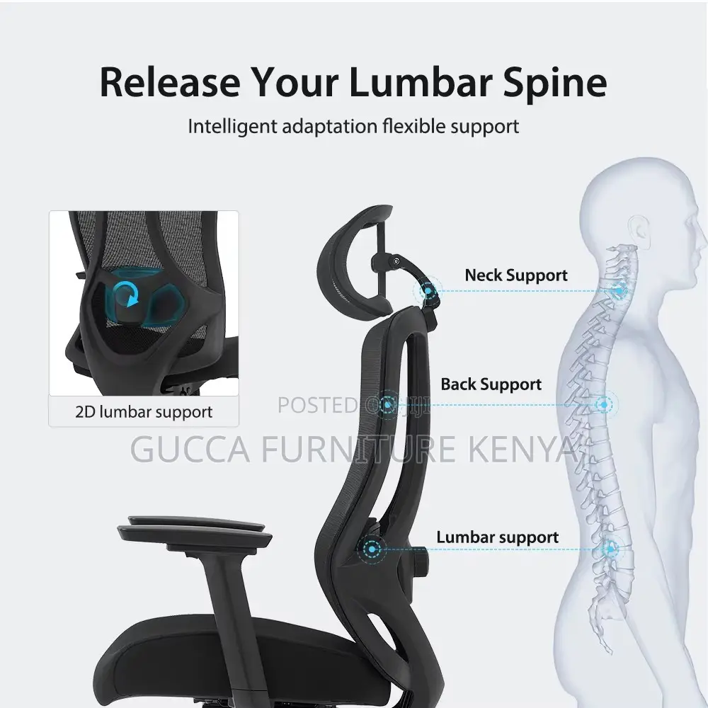 Executive Ergonomic Office High-back Chair