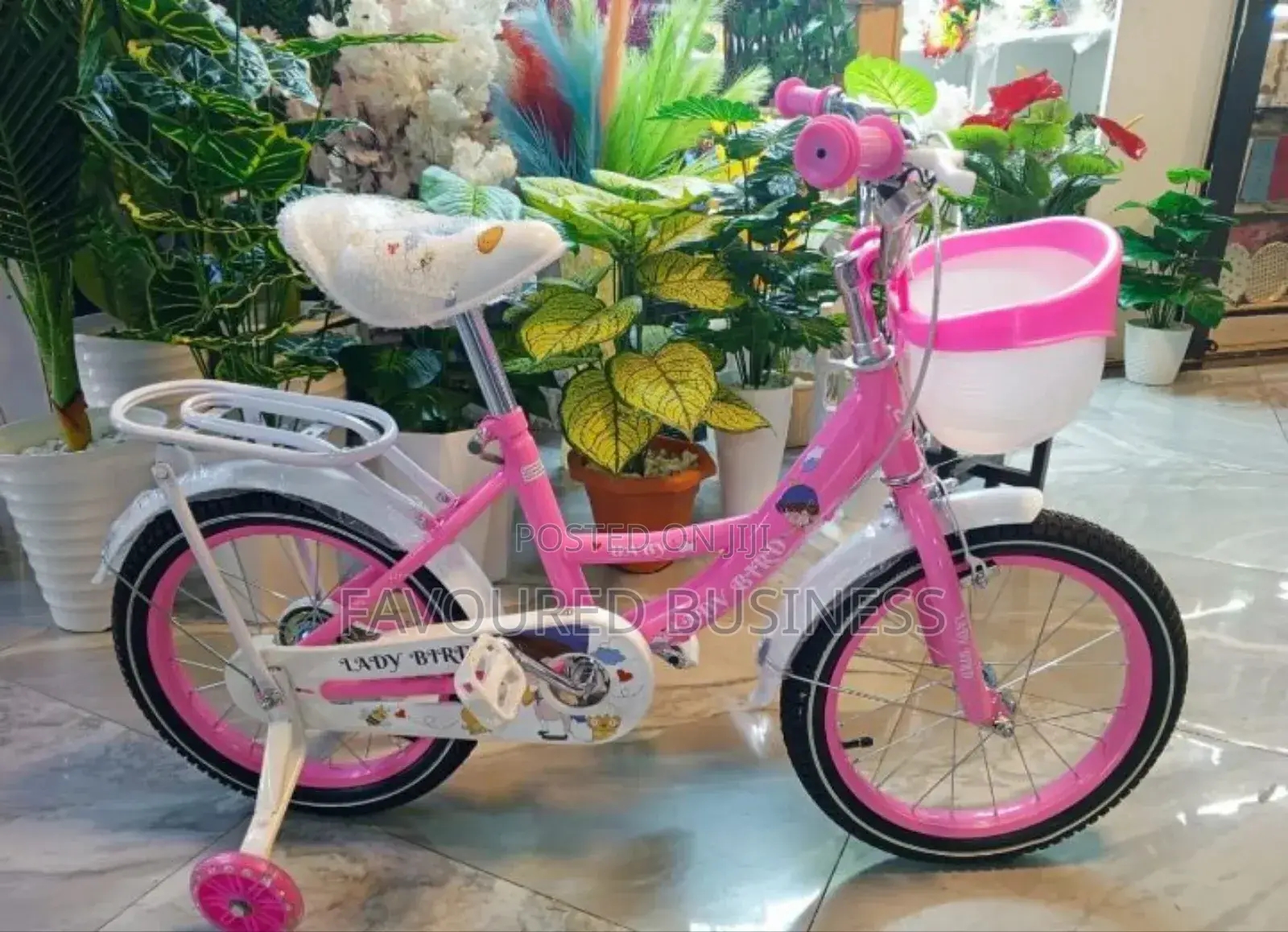 Safety Essential,Lady Bird Size 12 Wheel , Helping Them Balance