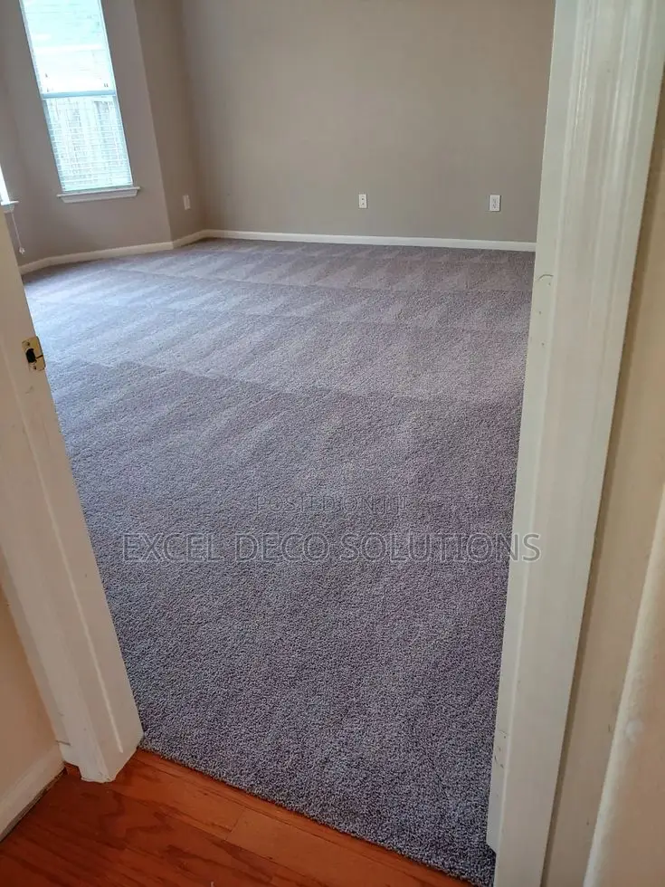 Delta Wall to Wall Carpet Modern Carpet Flooring for Home and Shop
