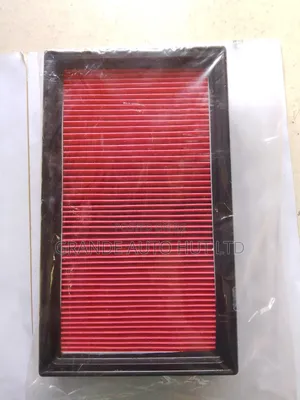 Air Filter Nissan Tiida/Wingroad (Js Brand)