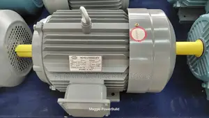 7.5hp STCL Italy High-Speed Three Phase Motor 2900rpm