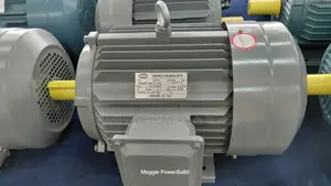 7.5hp STCL Italy High-Speed Three Phase Motor 2900rpm