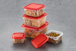 5in1 Clear Kitchen Storage Containers