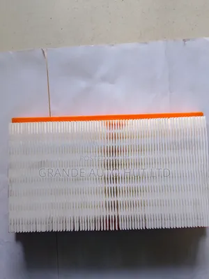 Air Filter Nissan Wingroad/Ad (Zyc Filter)