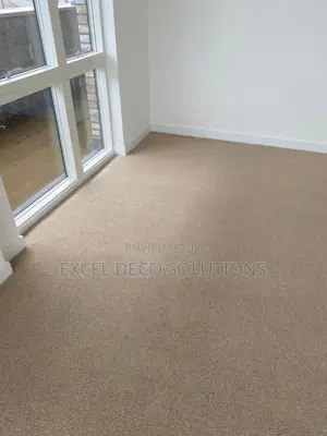 Delta Wall to Wall Carpet Interior Carpet for Homes Offices Shops