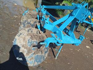 Dama Plaugh - thumbnail 2